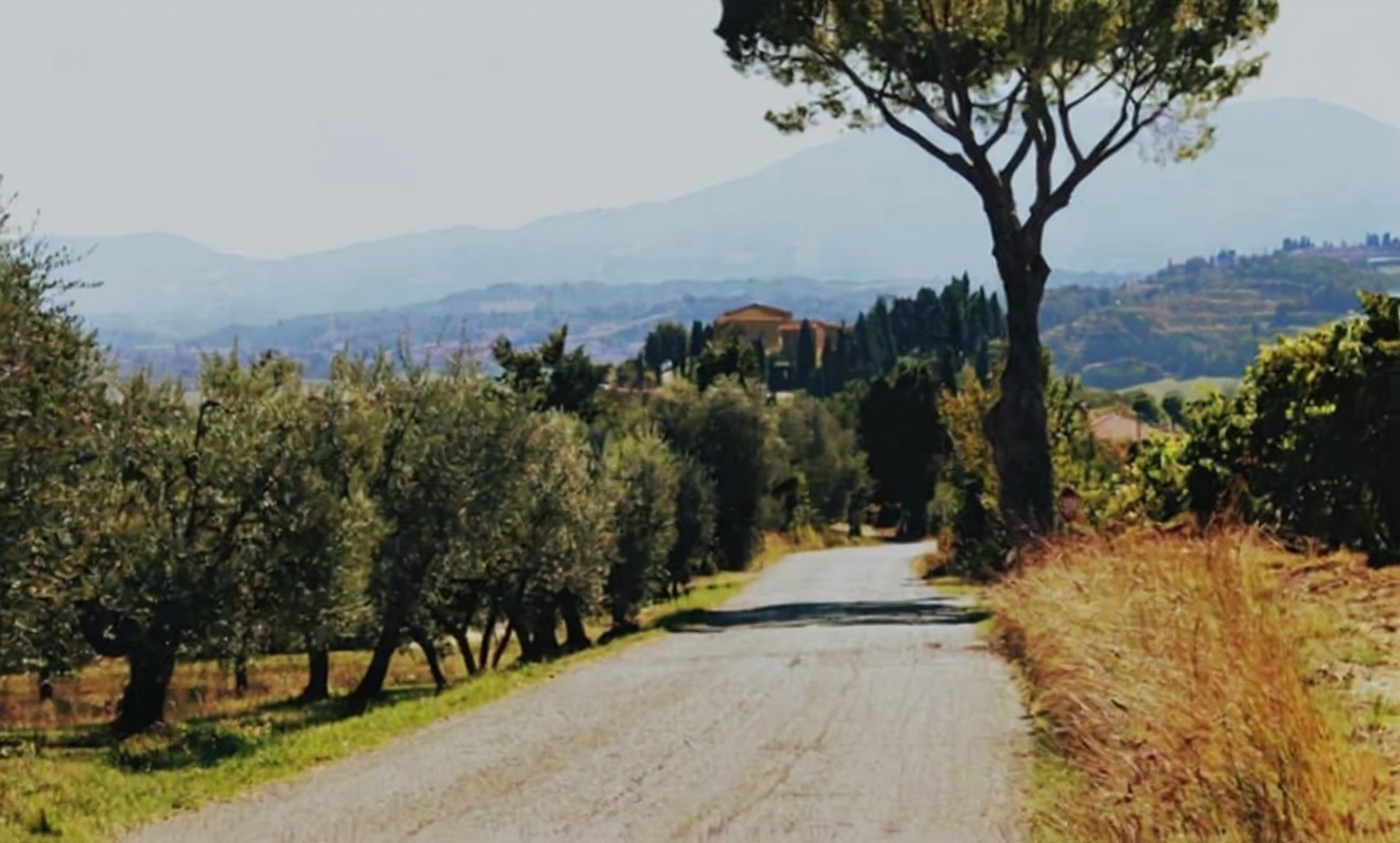 After watermark removal