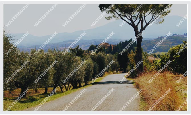 Before watermark removal