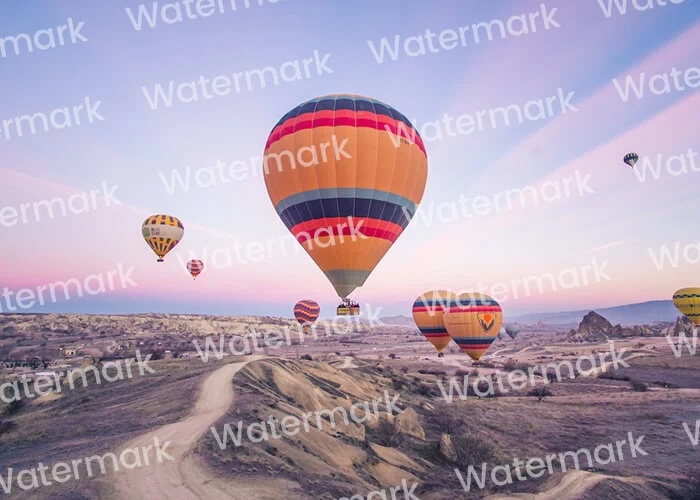 Before watermark removal